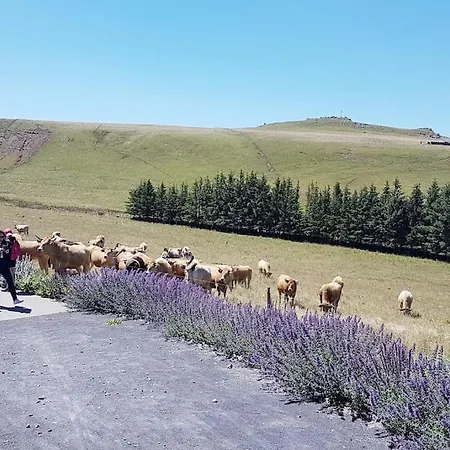 Chalet Buron Isole Sur L'aubrac